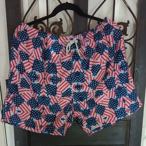 Men's Star and Stripe Swim Trunks